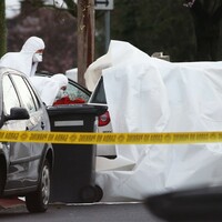 'They say the Hutch, Byrne and latest Ryan shooting are not linked. I disagree'