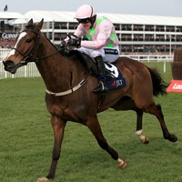 Vautour in late switch from Cheltenham Gold Cup to Ryanair Chase 