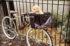 Open thread: Tell us what helps you to keep going everyday and WIN a cool Bobbin bike