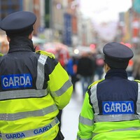 'He got four years - I got life': The life-altering injuries suffered by garda&Atilde;&shy;