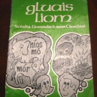 Irish is considered among the hardest and least interesting subjects in school