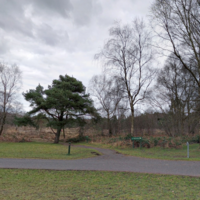 Woman sexually assaulted in broad daylight while walking her dog