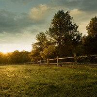 Man in his 70s dies in quad bike incident on farm 