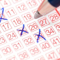 A Wicklow couple threw a &acirc;�&not;250,000 Lotto ticket into the bin