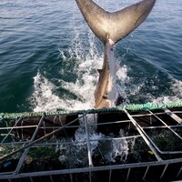 We'll Leave It There So: Big signing for United, selection surprise for Rio and today's sport