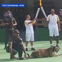 Jaguar used in Brazil Olympic torch ceremony shot dead 