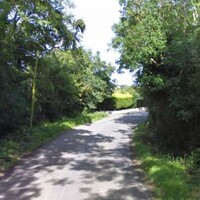 21-year-old man dies after car collides with truck 