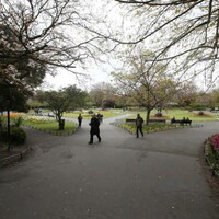 Garda&Atilde;&shy; investigating sexual assault of woman at Stephen's Green last night
