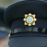 Man who made posts online found guilty of harassing Garda sergeant