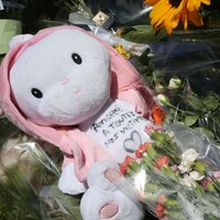 Five children fighting for their lives after truck attack in Nice