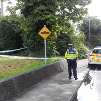 Garda&Atilde;&shy; appeal for witnesses after alleged sexual assault in early hours of morning