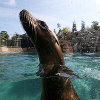 These are Ireland's top tourist attractions