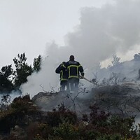 Firefighters battling woodland fires in Dublin