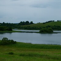 Woman in critical condition after attack by cow which left pet dog dead