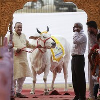 Two women in India have been gang-raped "for eating beef"