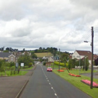 Elderly woman 'killed by cattle' on farm