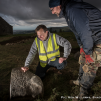 Major megalithic art find at Hellfire Club passage tomb