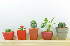 The 5 at 5: Thursday