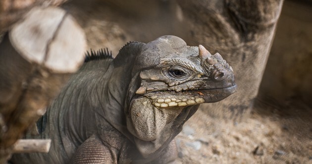 Here's What Happened Today: Thursday