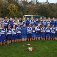 Late, late goal means Kilkenny's Thomastown win historic first Leinster title