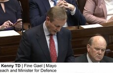 “Ministers on their own can’t operate solo runs": Taoiseach fields questions about Minister Ross