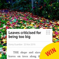 This local news story from Wexford about leaves being &acirc;��too big&acirc;�� is excellent