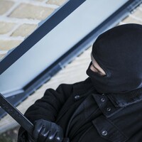 Family pet 'killed in burglary' at house in Armagh