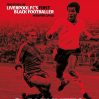 'I looked around... More monkey noises; a few grown men making Nazi salutes'