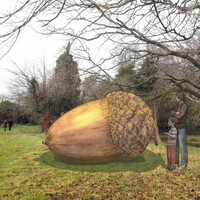 The People's Acorn: Giant artwork planned for grounds of &Atilde;�ras to commemorate 1916 
