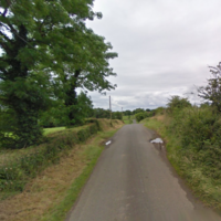 Body of woman in her 80s found this morning after car crash last night