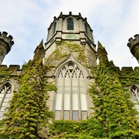 Why has the Irish language been removed as a requirement for NUIG's President?