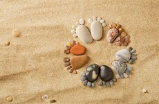 The 5 at 5: Thursday