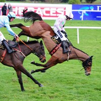 Irish gamblers are the third biggest losers in the world