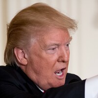 'Maybe Donald will head back to the jungle and go trump, trump, trump': The week in quotes