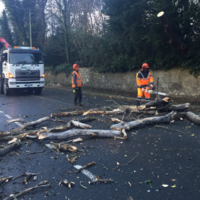 More than 56,000 without power as Storm Doris downs power lines, trees and cancels flights