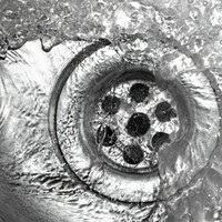 Poll: Do you think people should be charged for excessive use of water? 