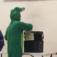 As the North votes, why do Sinn F&Atilde;&copy;in keep going on (and on) about crocodiles? 