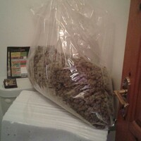 Three men arrested after this bag of drugs was seized in Carlow