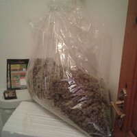 Man due in court after bag of drugs found in Carlow house 