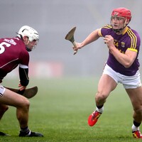 Excitement building around Wexford as Davy Fitz's renaissance job gathers momentum 