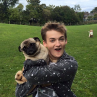 Jack Gleeson tweeted a photo of himself holding a pug and it's obviously now a meme 