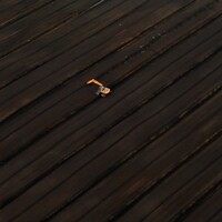 Bord na M&Atilde;&sup3;na is shutting its Tipperary plant as demand for peat dries up