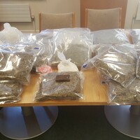 Garda&Atilde;&shy; find almost &acirc;�&not;300k worth of drugs at a home in Blanchardstown