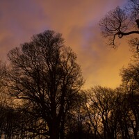 My Favourite Drive: Colin Doyle on the night-time journey through the Phoenix Park