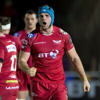Scarlets delighted with impact of 'absolutely outstanding' Irishman Beirne