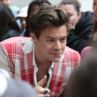 Harry Styles has won so much praise for his response to questions about his sexuality 