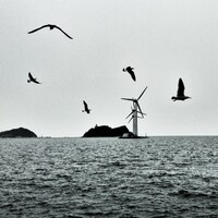 An Irish firm's &acirc;�&not;2bn offshore wind farm is clear to build after a major legal win