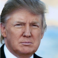 Twitter co-founder says 'sorry' for election of Donald Trump