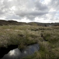 Man accused of raping student he met on Tinder in Dublin Mountains