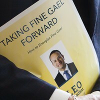 Campaign For Leo website was set up last year - but Leo says it 'wasn't prep for leadership contest'